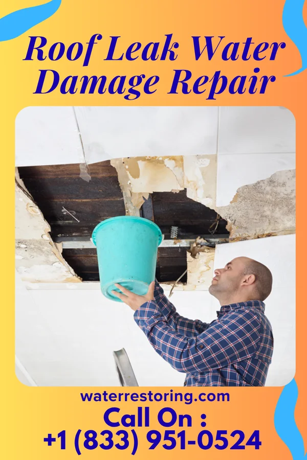 Roof Leak Water Damage Repair in Graingers, NC